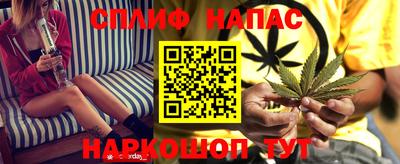 Альфа ПВП Владивосток