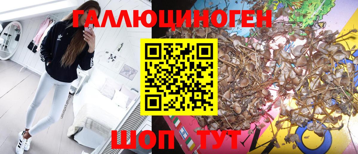 Псилоцибиновые грибы Magic Shrooms  Вход с VPN  купить наркотики сайты  Канск 