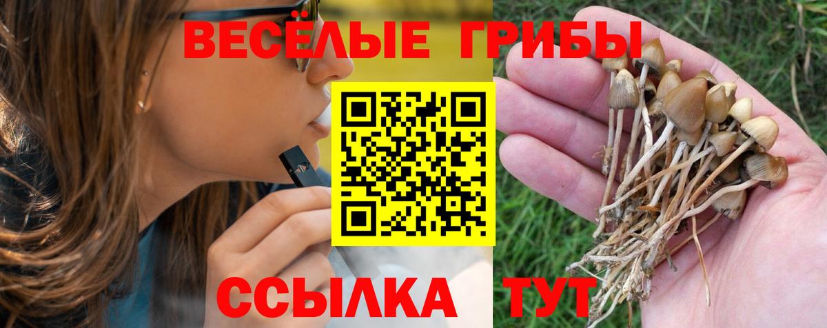 Галлюциногенные грибы Psilocybe Канск
